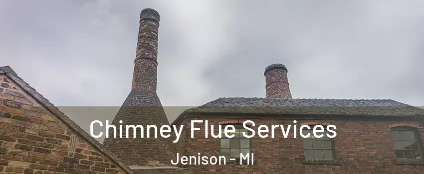  Chimney Flue Services Jenison - MI