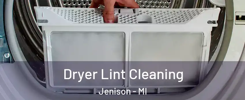 Dryer Lint Cleaning Jenison - MI