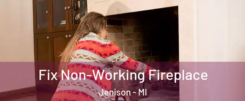 Fix Non-Working Fireplace Jenison - MI