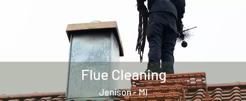  Flue Cleaning Jenison - MI