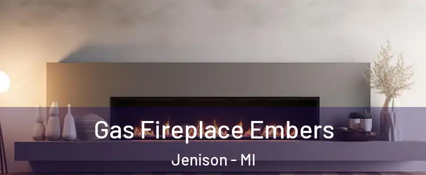  Gas Fireplace Embers Jenison - MI