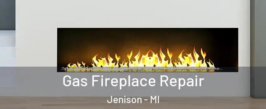  Gas Fireplace Repair Jenison - MI
