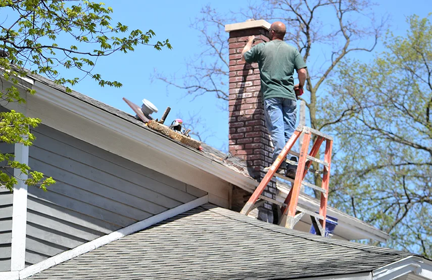 Chimney & Fireplace Inspections Services in Jenison, MI