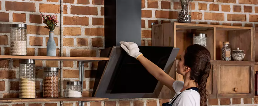 Chimney Installation in Jenison, MI