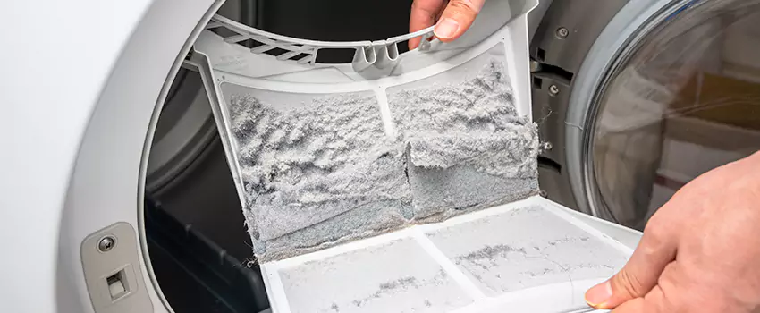 Best Dryer Lint Removal Company in Jenison, Michigan