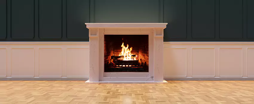 Napoleon Electric Fireplaces Inspection Service in Jenison, Michigan
