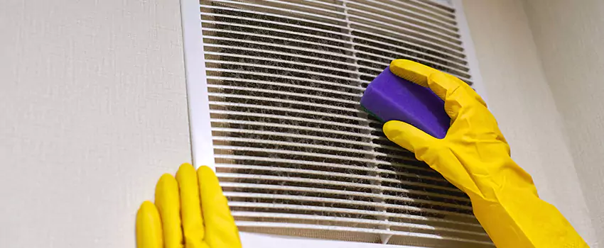 Vent Cleaning Company in Jenison, MI