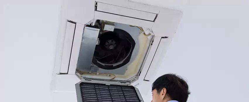 Benefits of Professional Air Duct Cleaning in Jenison, Michigan