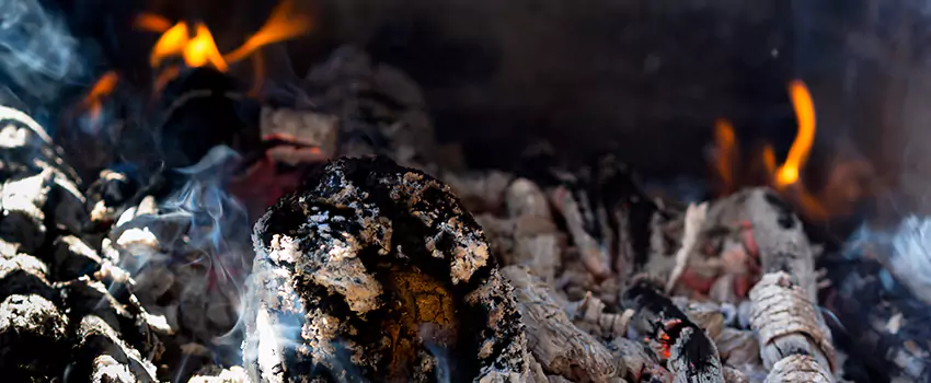 Creosote Removal Experts in Jenison, MI