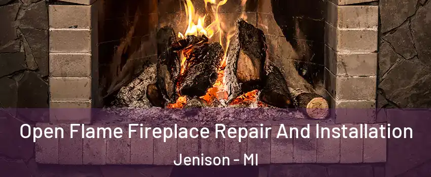  Open Flame Fireplace Repair And Installation Jenison - MI