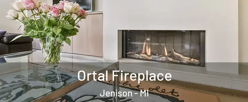  Ortal Fireplace Jenison - MI