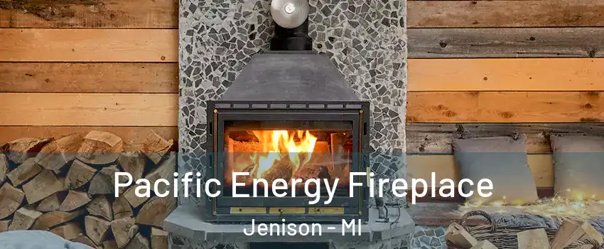  Pacific Energy Fireplace Jenison - MI