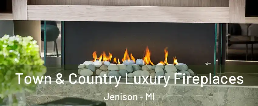  Town & Country Luxury Fireplaces Jenison - MI